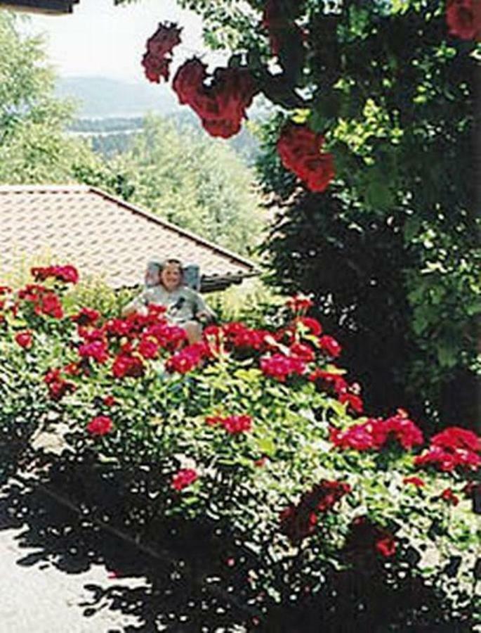 شقة Haus Bergblick Bay. Wald Prackenbach المظهر الخارجي الصورة