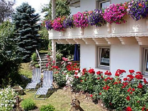 شقة Haus Bergblick Bay. Wald Prackenbach المظهر الخارجي الصورة