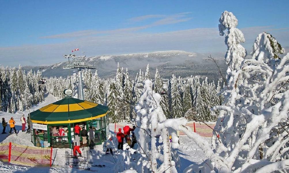 شقة Haus Bergblick Bay. Wald Prackenbach المظهر الخارجي الصورة