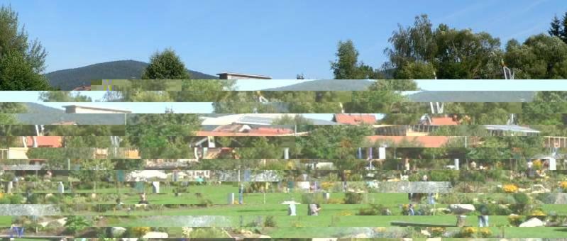 شقة Haus Bergblick Bay. Wald Prackenbach المظهر الخارجي الصورة