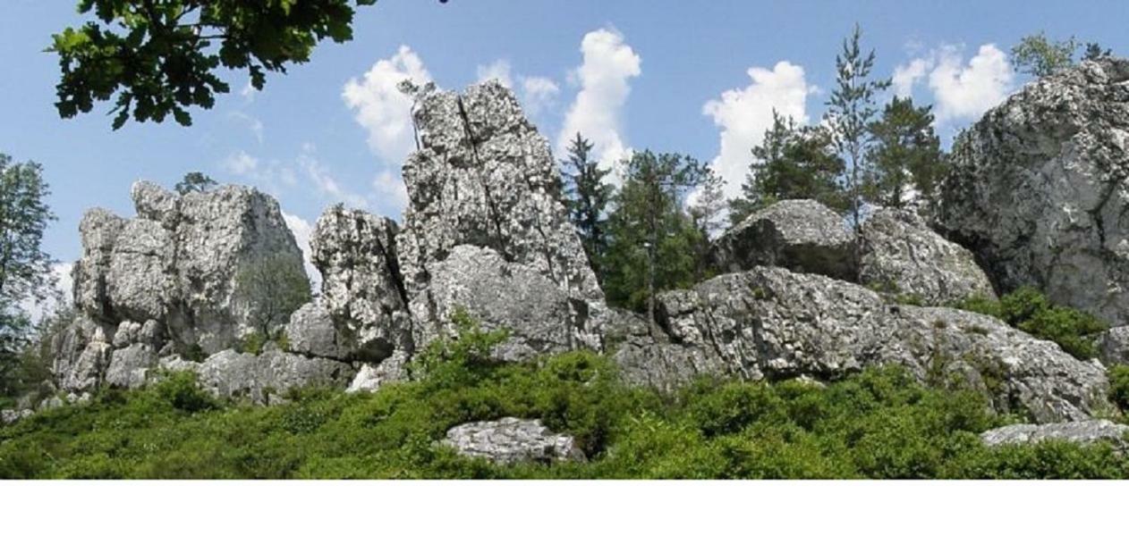 شقة Haus Bergblick Bay. Wald Prackenbach المظهر الخارجي الصورة